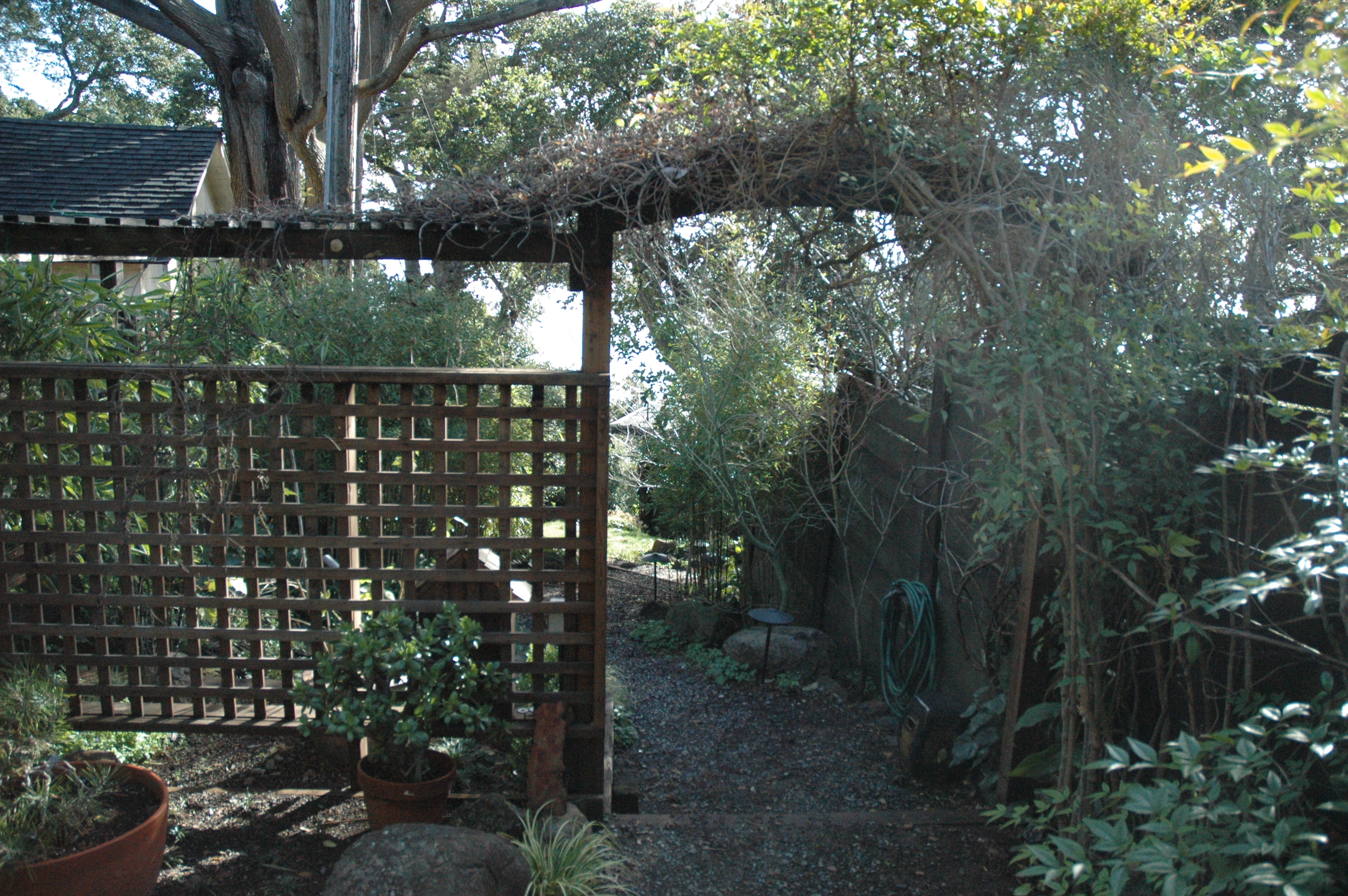bayside garden in the morning