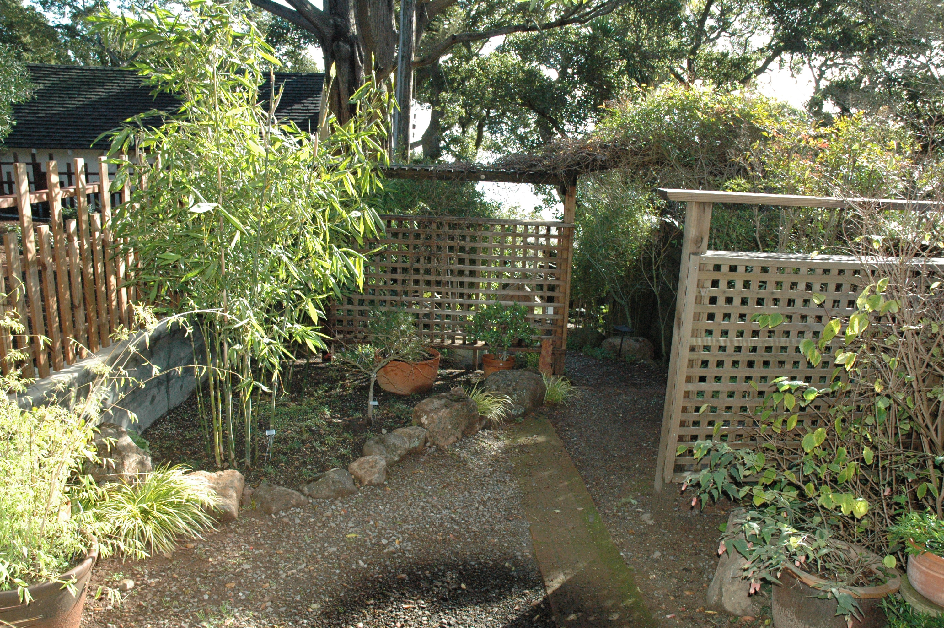 bayside garden in the morning