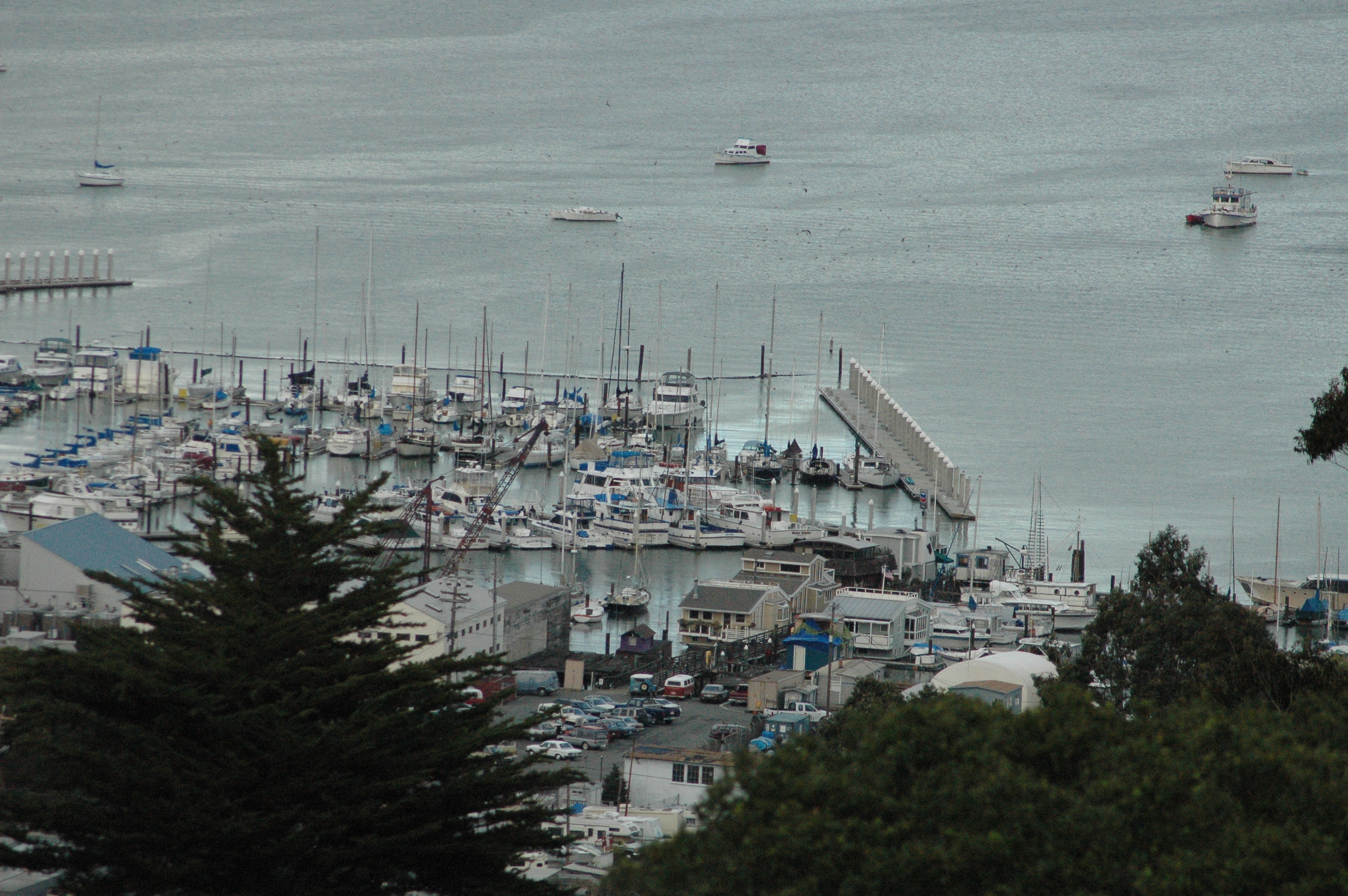 harbor