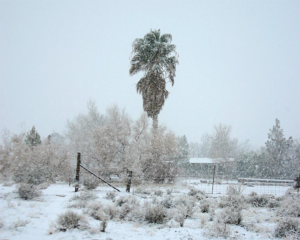 Snow_3.jpg
