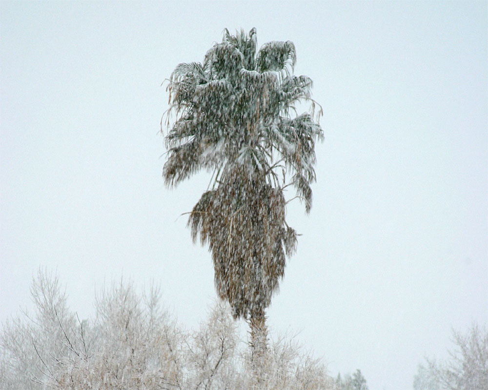 Snow_4.jpg