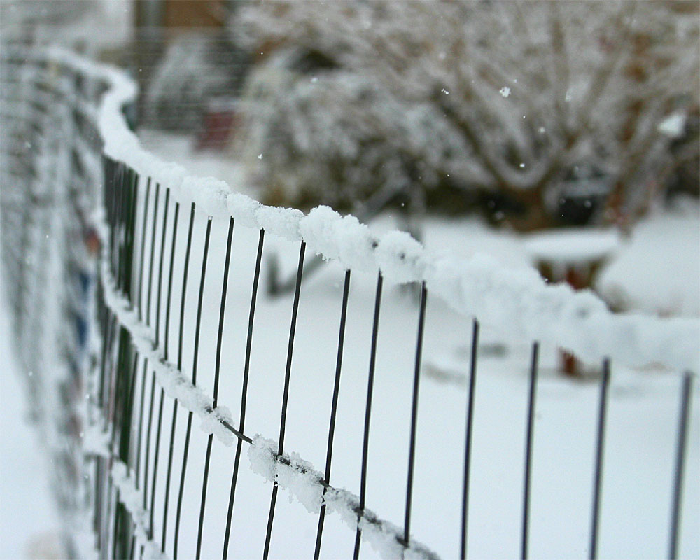 Snow_5.jpg