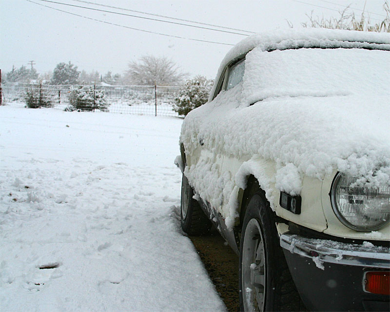 Snow_9.jpg