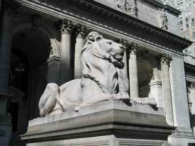 New York Public Library Lion