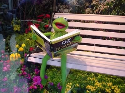 Kermit reading about Oz