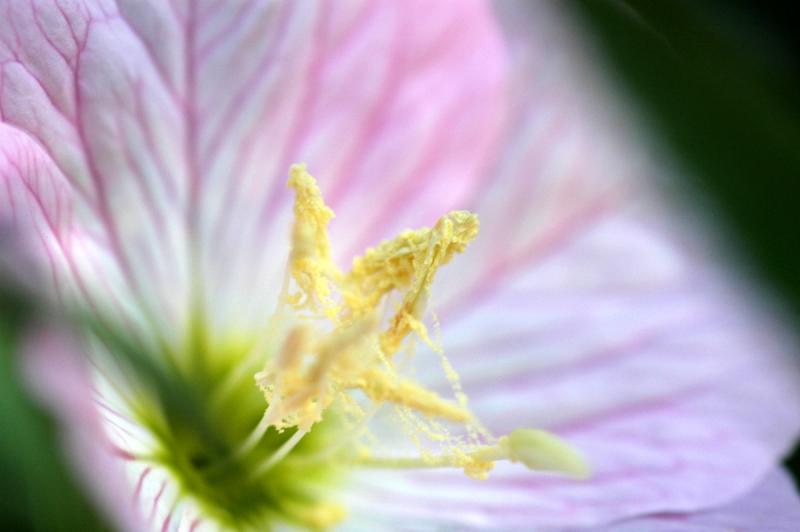 DSC_6945a.jpg