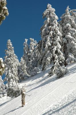 Snow of CA/Mountain Baldy