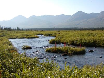 Alaska/ Copper River