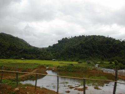 laos0204.jpg