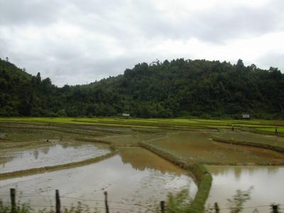 laos0205.jpg