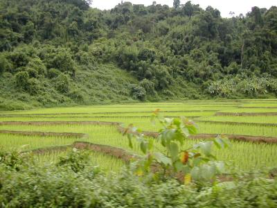 laos0206.jpg