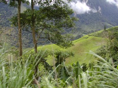 laos0208.jpg