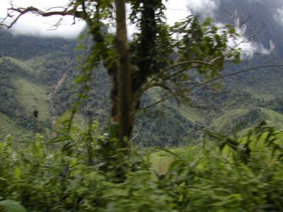 laos0209.jpg