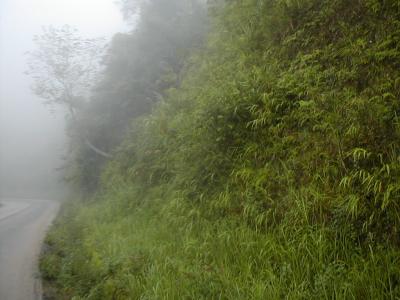 laos0213.jpg