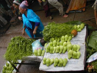 laos0215.jpg