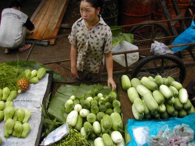 laos0216.jpg