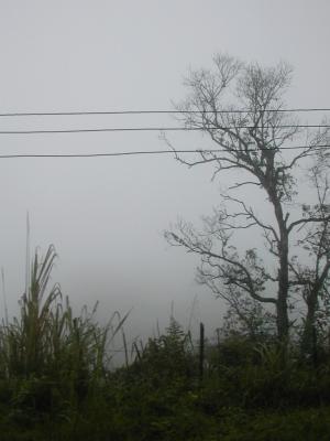 laos0223.jpg
