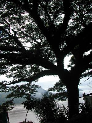 laos0285.jpg