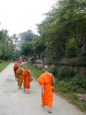 laos0292.jpg