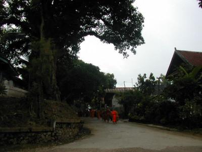 laos0293.jpg