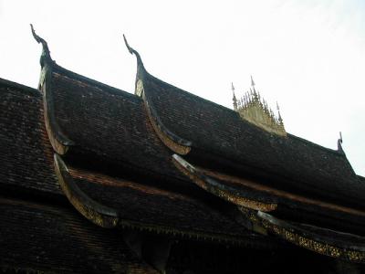 laos0303.jpg