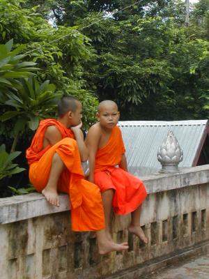 laos0342.jpg