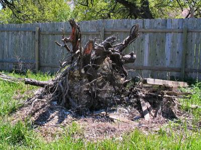 Storm Debris