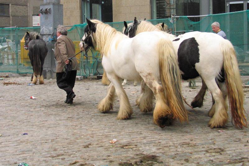 Horse market 2.jpg
