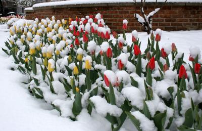 IMG_3680 copy.jpg