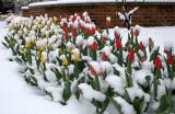 IMG_3680 copy.jpg