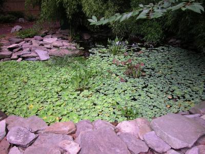 Japanese Garden at Redwing Park in Virginia Beach VA