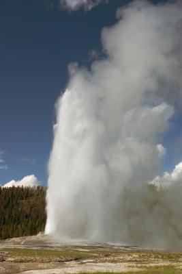 Old Faithful