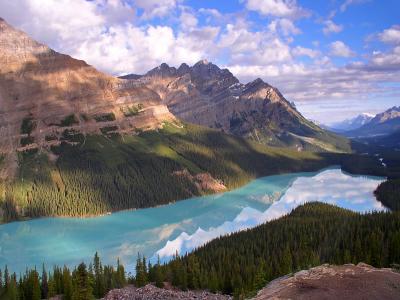 Peyto Lake/Bow Summit III