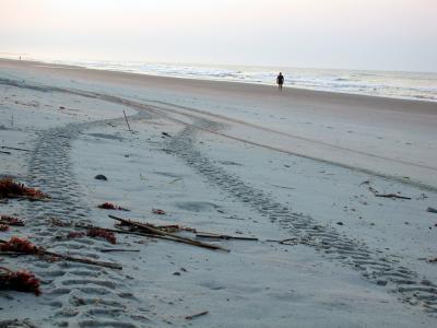 beach160b.jpg