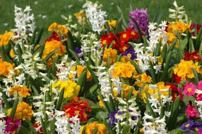 Flowers, Lytham St Annes