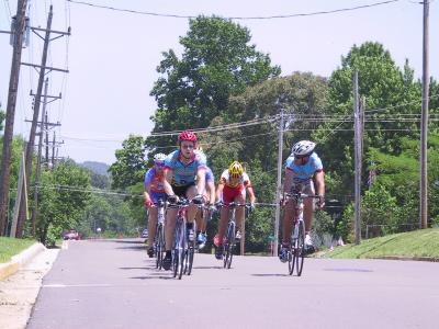 Cat 4 002.jpg