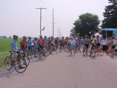 Cat 3 01.jpg