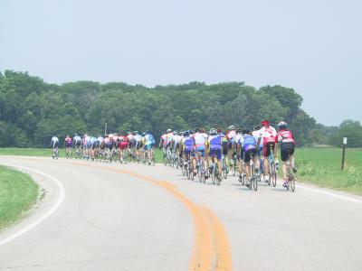 Cat 3 06.jpg