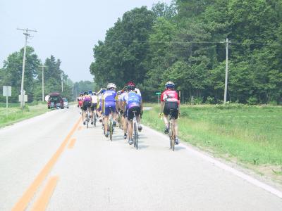 Cat 3 07.jpg