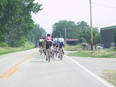 Cat 3 09.jpg