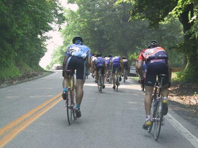 Cat 3 28.jpg