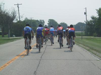 Cat 3 30.jpg