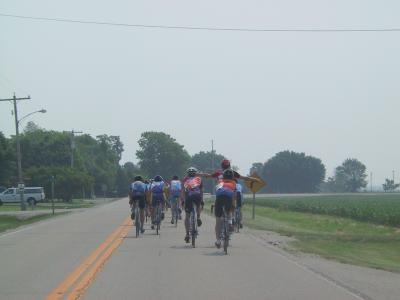 Cat 3 31.jpg