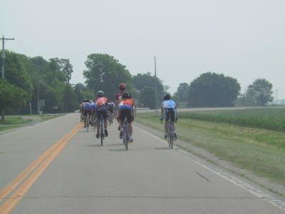 Cat 3 32.jpg