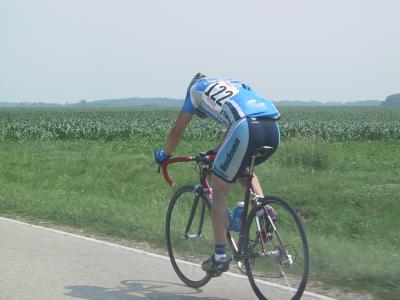 Cat 3 47.jpg