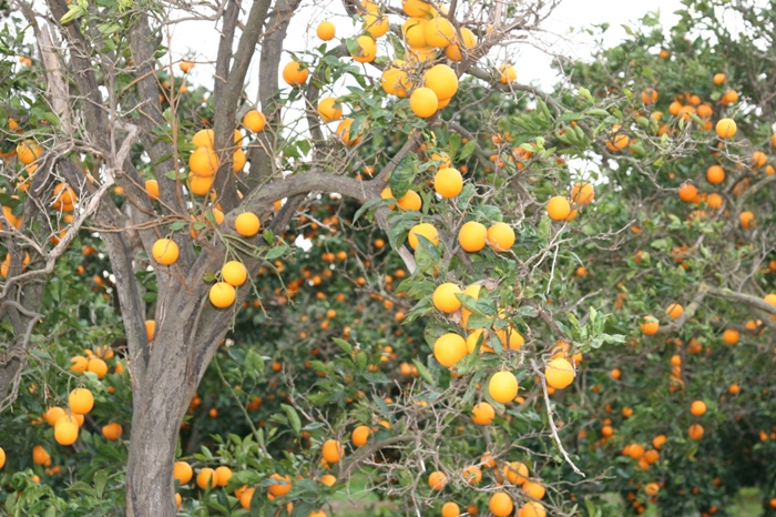 D20-01 312.jpg