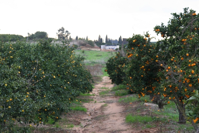 D20-01 318.jpg