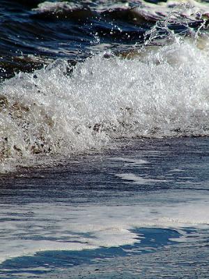 P9231932-e-600.jpg