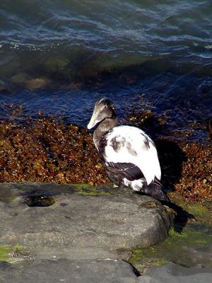 P9231985-e.jpg