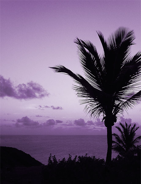 PICT0011.jpg